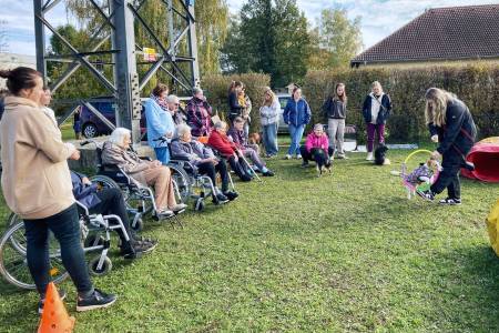 Ukázka psí agility