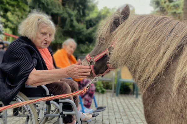 Překvapením hudebního dopoledne byli poníci