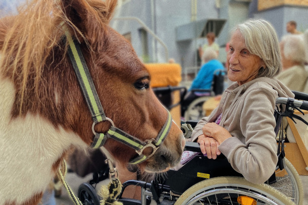 Překvapením hudebního dopoledne byli poníci