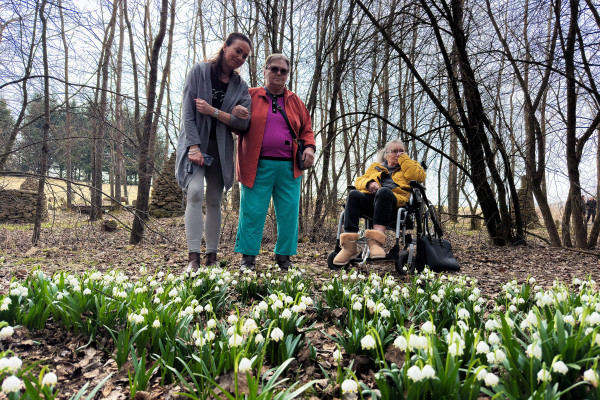 Nad přírodním záhonem