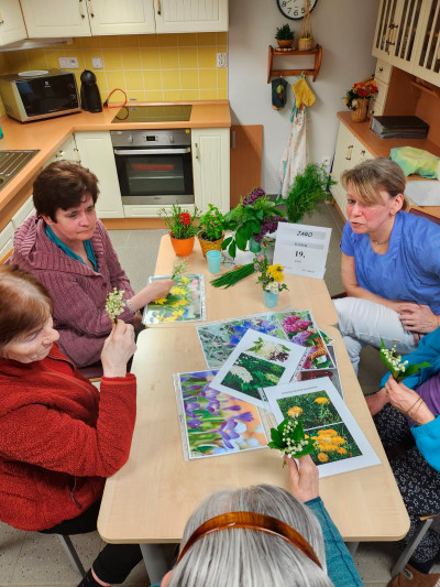 Smyslová aktivizace se skupinou uživatelů