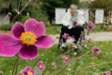 Botanická zahrada v Třeboni (pracoviště Dobrá Voda u ČB)