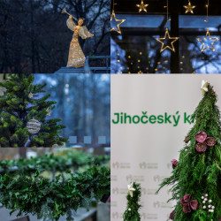 Předvánoční výzdoba