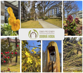 Pocit domova a neposedné květiny